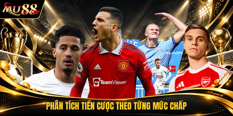 Phân tích tiền cược theo từng mức chấp